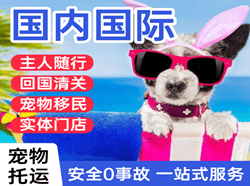 遥墙航空托运国际宠物托运 【国
